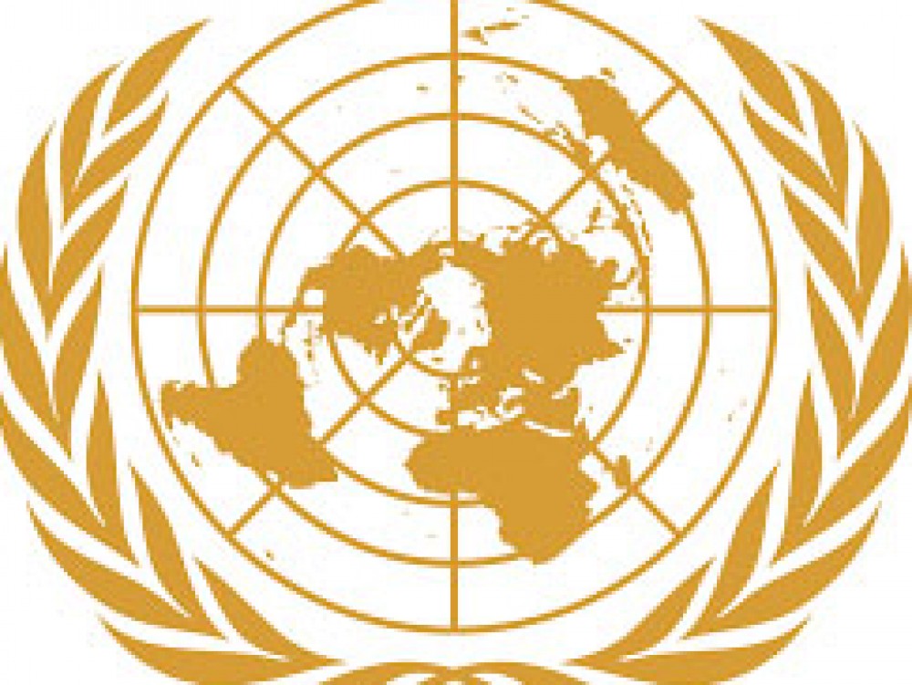 United Nations Commission for Woman